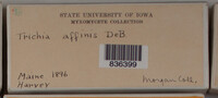 Image Associated With the Occurence
